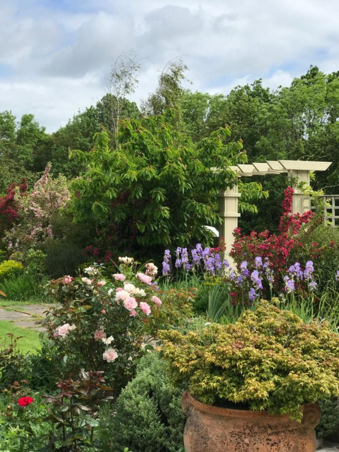 Octon Cottages Luxury 1 And 2 Bedroom Cottages 1 Mile From Taunton Centre 외부 사진